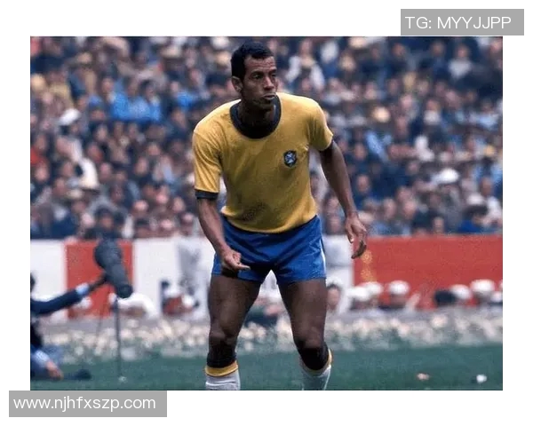 全球足球明星后卫排名及精彩瞬间回顾